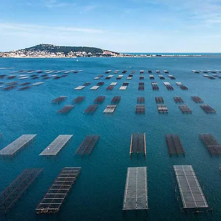 Corniche Apartament Sète